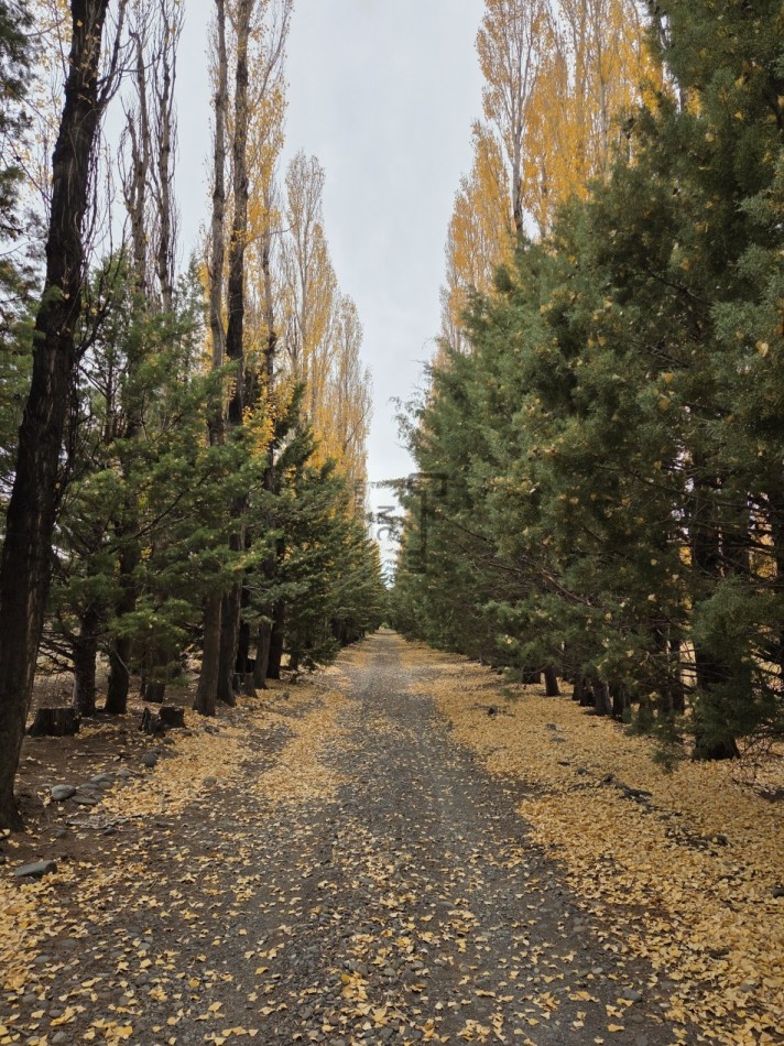 12.000 hectareas mixtas Neuquen, Argentina