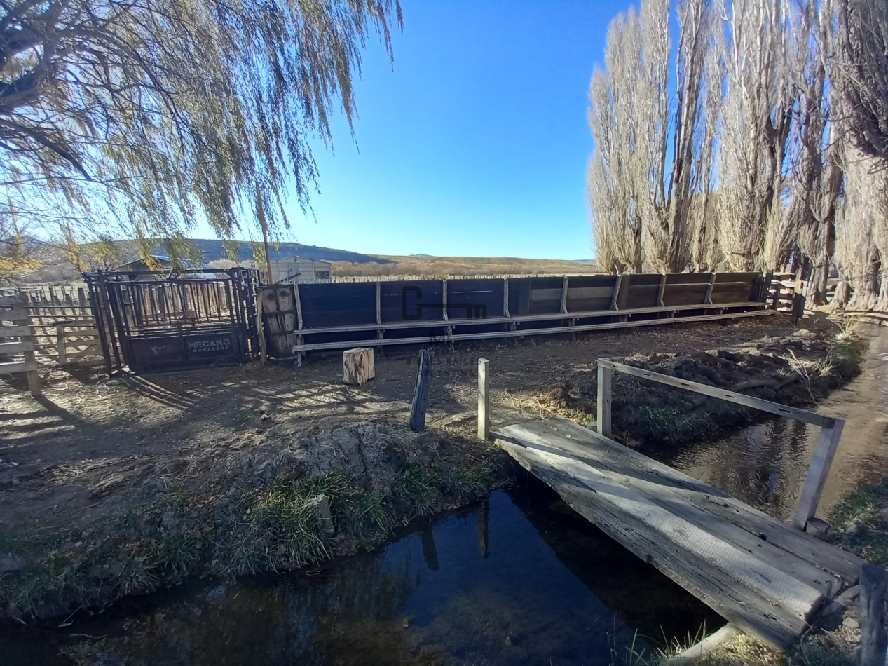 12.000 hectareas mixtas Neuquen, Argentina