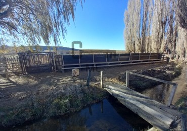 12.000 hectareas mixtas Neuquen, Argentina